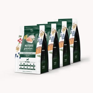 누터스가든 강아지사료 연어앤대구 독 눈건강 하이포알러제닉 기호성 연어, 8kg, 1개