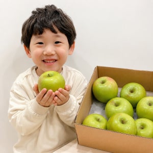 사과 경북 청송 안동 가정용 못난이 부사 5kg 10kg