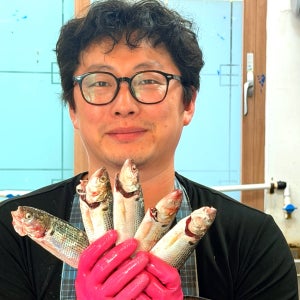 제철 남해안 활 전어 전어회 세꼬시 구이 순살 필렛 500g