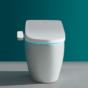 대림바스 26년 직수 스팀 살균비데 필터없는 비데 구입 DDS-S250ASIPX8 자가설치