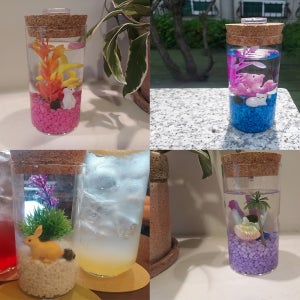 마리모 마리모키우기 DIY 미니 유리 어항