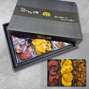 건조버섯 선물용 약용버섯 선물세트 차가버섯 상황버섯 영지버섯 건강차 부모님선물 말린 버섯차