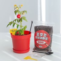 방울토마토 무지개화분 씨앗 새싹 재배 키우기 세트 DIY 키트