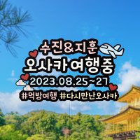 [자유문구] 비행기 여행토퍼 일본 베트남 다낭 오사카 유럽 인증샷 기념 사진촬영소품