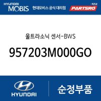 울트라소닉 센서-BWS (957203M000GOD) 에쿠스