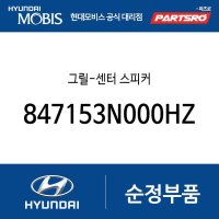 그릴-센터 스피커 (847153N000HZ) 에쿠스