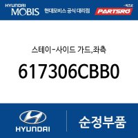 스테이-사이드 가드 (617306CBB0) 메가트럭