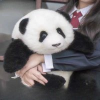 귀여운 푸바오 인형 라텍스 40 50cm 중국 팬더 러바오