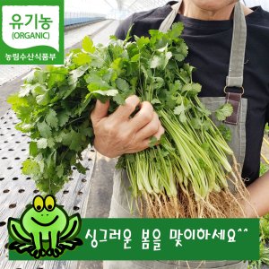 유기농고수 1kg고수나물, 고수생잎, 향신료 고수, 산지직송 당일수확