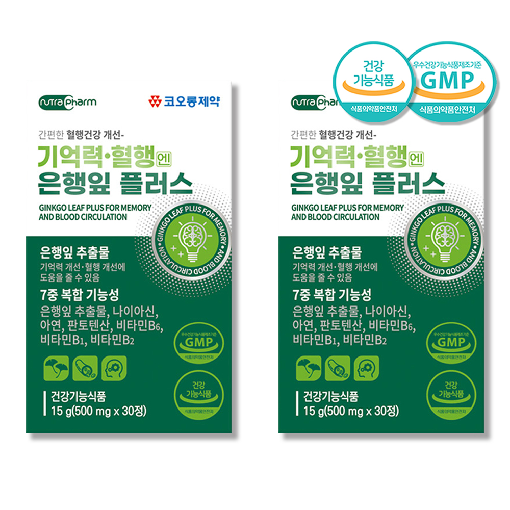 기억력 개선 좋은 징코 <b>은행잎추출물</b> <b>플라보놀배당체</b> 2박스 약2개월분