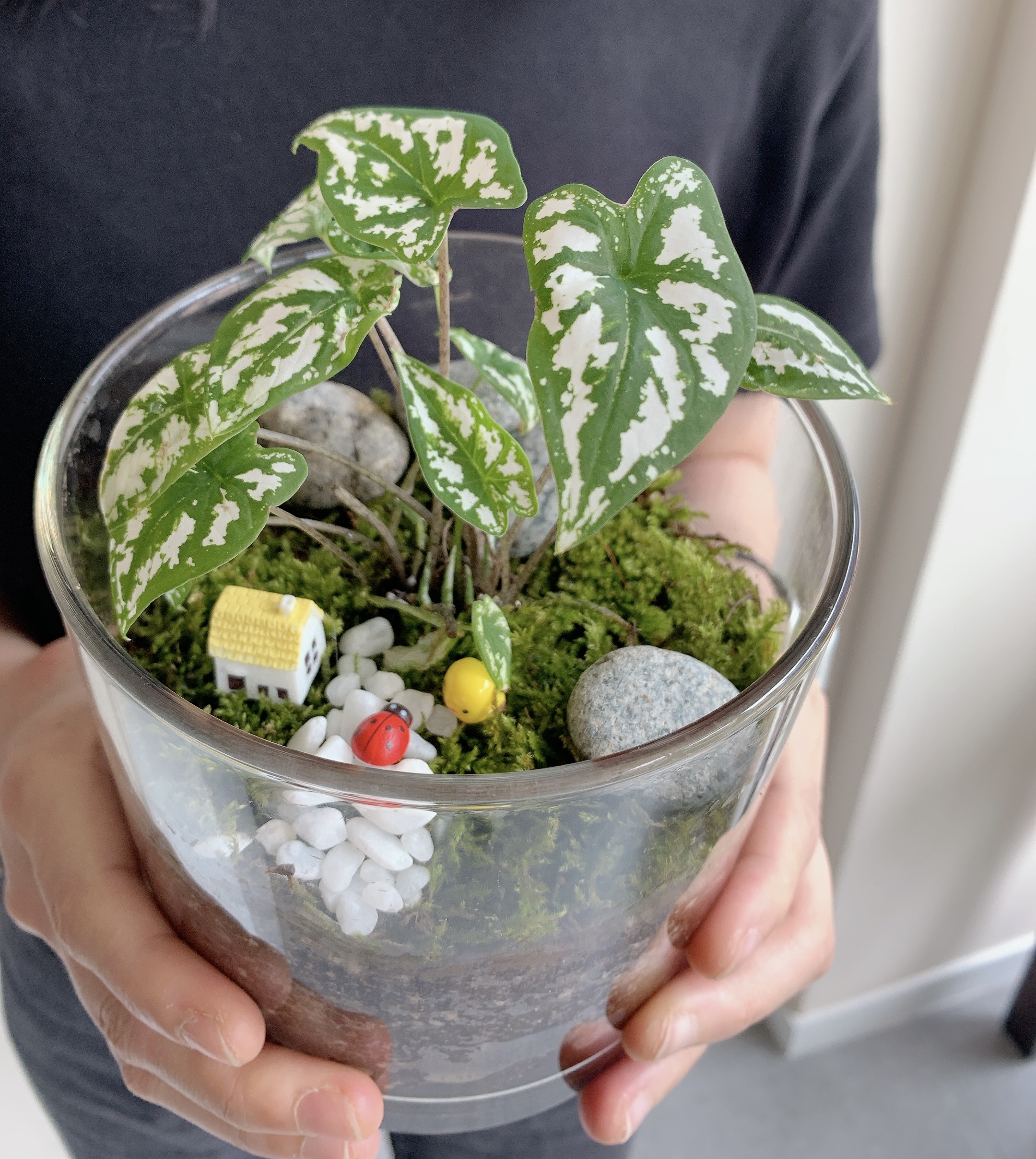 테라리움원데이클래스 서울가드닝클래스 기업출강 사내복지 취미 부업 강의