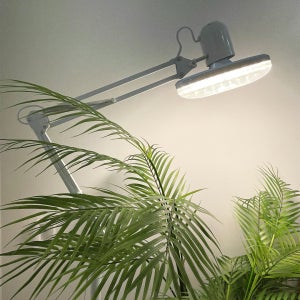 신제품 식물등 30W LED 식물생장등 투명커버 UFO램프 히포팜텍