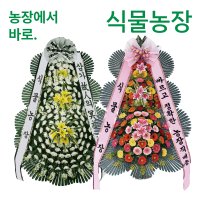 사무실이전화환 축하 꽃배달