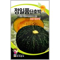 [세계종묘]정일품단호박(일본) 30립