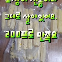 괴산 대학찰 찐옥수수30개 진공포장 재구매 200% 컴플레인제로