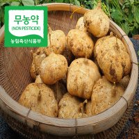 유기농 히카마 얌빈 멕시코감자 5kg 10kg (예약)