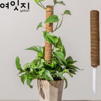 몬스테라 수태봉 수태망 수태벽 식물 지지대 50cm