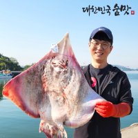 국산 전라도 신안 흑산도 홍어 목포 홍어애 1인분 250g 500g 1kg