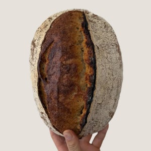 통밀 사워도우 / 천연발효 깜빠뉴 비건 식사빵 천연발효 무설탕 노버터 노계란 건강빵