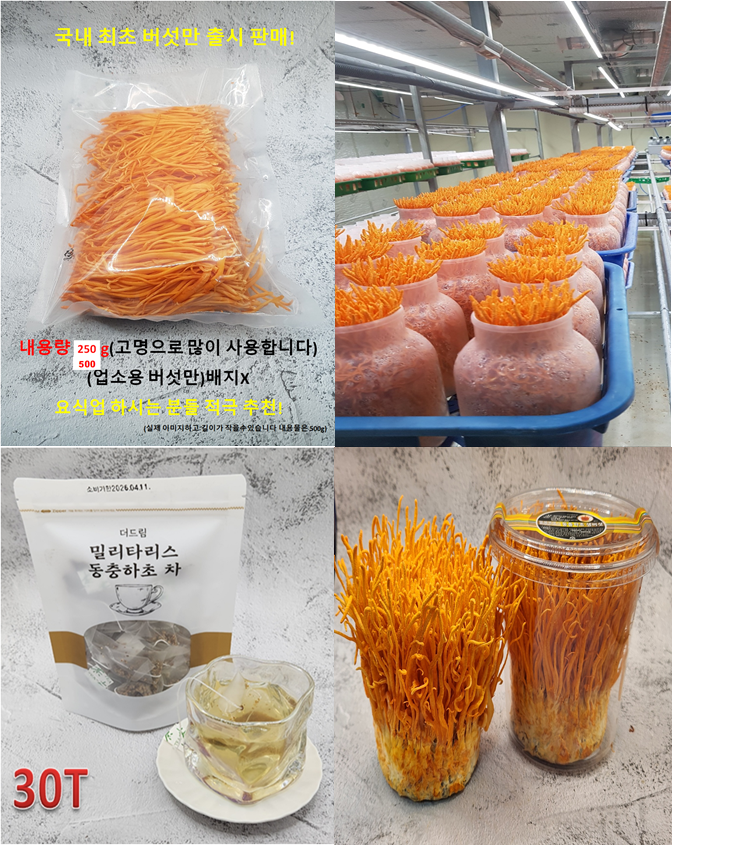 더드림농원 <b>동충하초</b>1실속형(배지포함200-220g) 2알뜰형 (생버섯만 70g)일반버섯 처럼 손쉽게 드실수있는 3알뜰형500g 4<b>동충하초</b>차 출시