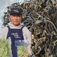 [국산 고사리 2kg 무료배송] 계룡산고사리 햇고사리 말린 건고사리 국내산 고사리