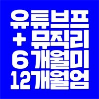 유튜브 프리미엄 뮤직 이용권 6개월 12개월