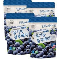 웰팜 냉동 유기농 블루베리 500g x 4팩 총 2kg