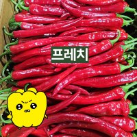 프레치 국내산 건조용 홍고추 10kg