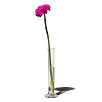 푸에브코 PUEBCO SINGLE FLOWER VASE 100ml 한송이 유리 화병