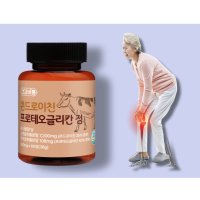 콘드로이친 소연골 콘드로이친1200 프로테오글리칸 600mg x 60정