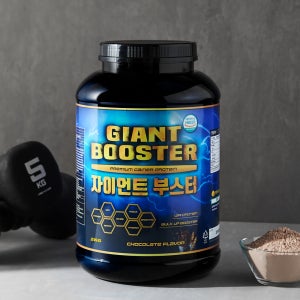 자이언트 부스터 살찌는 WPI프로틴 게이너 보충제 벌크업 체중증가 탄수화물 초코맛 2KG