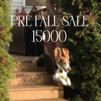 PRE FALL SALE