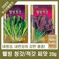 23년산 웰빙 청갓/적갓 씨앗 20g -mustard greens