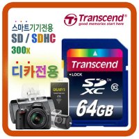 소니 SONY A3000 메모리카드 64G