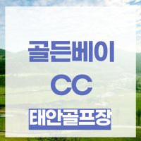 태안골프장 골든베이cc 골프패키지 놓치지 마세요