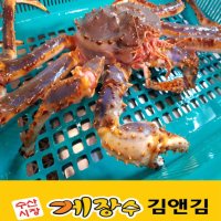 살아있는 활 러시아 킹크랩 믿을수 있는 게장수김앤김