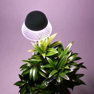 노바리빙 [잎파랑] LED 페어리 프리미엄 식물등 광합성 생장 성장 재배 다육이 식물조명등