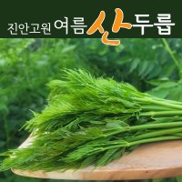 진안고원 여름산두릅 산지직송 특품 두릅 장아찌 마이산