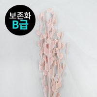 [B급] 10160-102 히비기아-워시 핑크_프리저브드플라워 도매