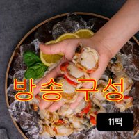 [방송구성] 국내산 바로먹는 비단가리비 11팩