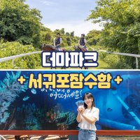 제주 더마파크+서귀포잠수함 / 제주도 여행 카트 승마 공연 이색체험 잠수함