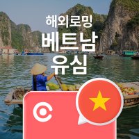 베트남유심 호치민 다낭 비엣텔 비나폰 데이터 무제한 동남아 해외여행 유심칩