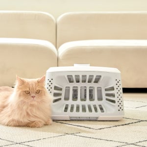 페페 앱스퍼(AbsFur) 퍼캐쳐 강아지 고양이 털포집기 펫드라이기 적외선 조사기