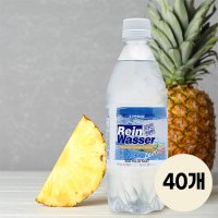 라인바싸 탄산수 파인애플 500ml 페트 20개+20개 (총 40개)