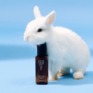 [라운지전용] 멈칫 향 지속력 좋은 밤쉘 스테이퍼퓸 80ml 택1