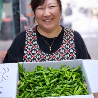 국내산 싱싱한 야채 청양고추 풋고추 꽈리고추 1kg