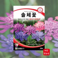 솔체꽃 꽃씨몰 / 절화용 솔체꽃20립 Scabiosa 종자