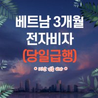 베트남 3개월 당일긴급 전자비자(1시간)