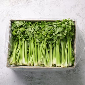 채소팜 쌈샐러리 1.8kg~2kg