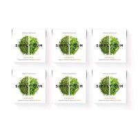 미국직구 SimplyGum Natural Chucking Gum 각성 (카페인페퍼민트Matcha) 6개 포장 (총 90개) 플라스틱 프리 아스파탐 프리 비 GMO